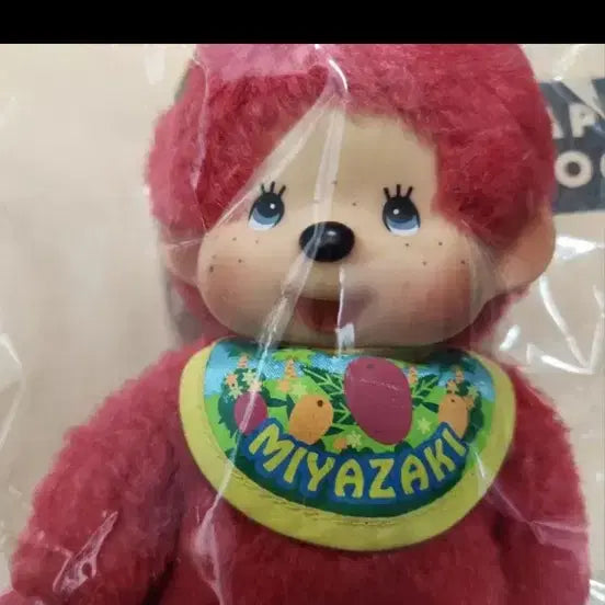 [BUNJANG] Miyazaki Limited Edition Monchhichi / 메루카리로 구매한 미야자키 한정판 몬치치 (사용감있음)