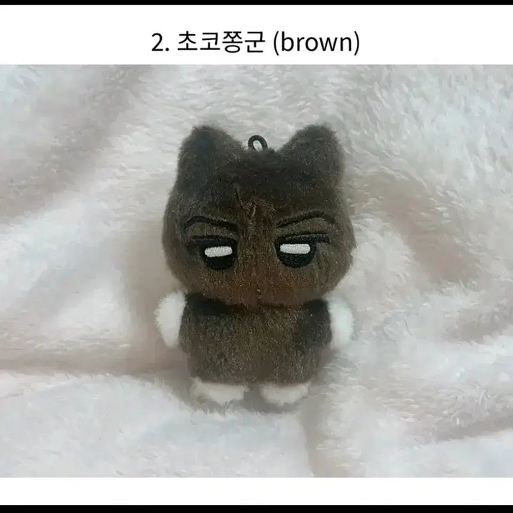 [BUNJANG] ENHYPEN Sunghoon JAY Chocolate Photocard Bundle Set / 미개봉)냥쫑부부 초코 초코냥쫑군 현물 양도 엔하이픈 박종성 제이