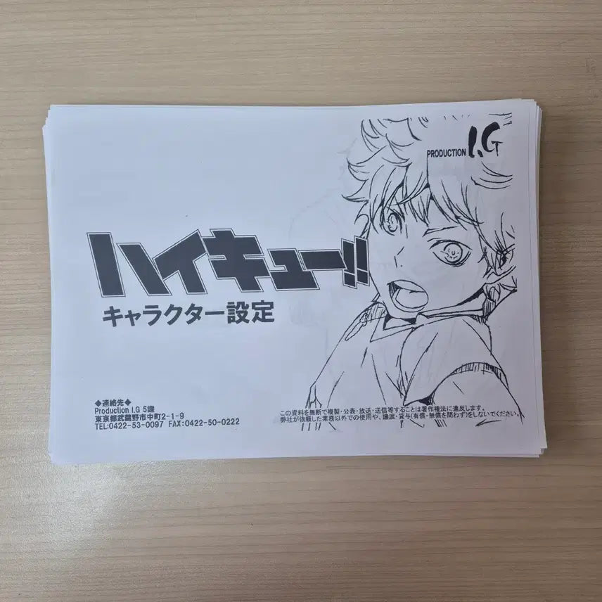 [BUNJANG] Haikyuu!! Character Setting Materials Set (Approx. 130 Pages) / 하이큐 설정자료 130장 유일매물
