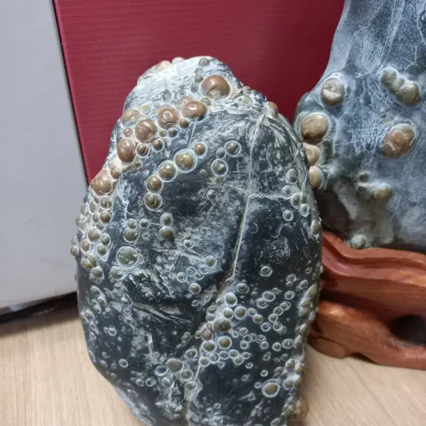 [BUNJANG] Bonggye River Stone / 봉계 혹돌
