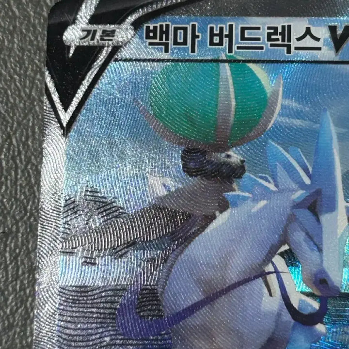 [BUNJANG] Spectrier VMAX Full Art Pokemon Card / 포켓몬카드 백마 버드렉스 v 특일
