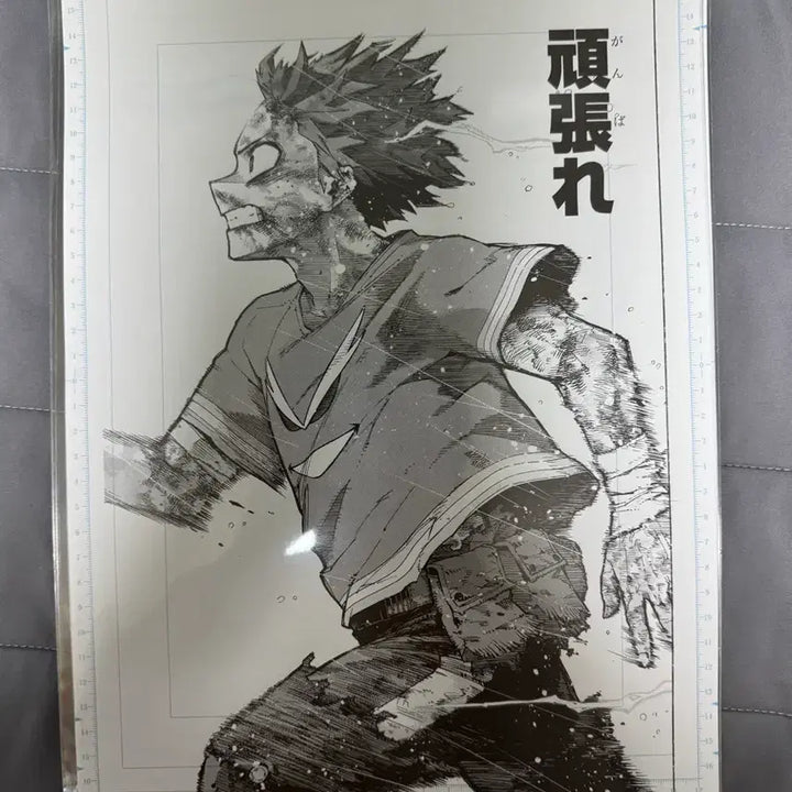 [BUNJANG] My Hero Academia Ganbare Deku Digital Manuscript / 나히아 원화전 간바레 데쿠 디지털 원고