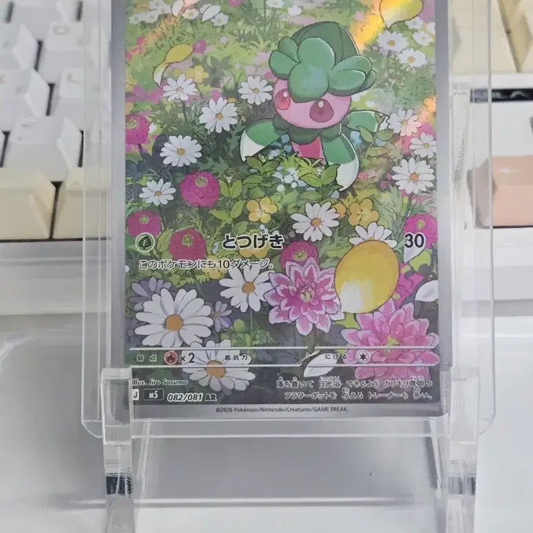 [BUNJANG] Pokemon Abyss Eye AR Card Bundle Set / (오늘만 무배/일괄/필독) 포켓몬 포켓몬스터 어비스아이 외 ar 카드