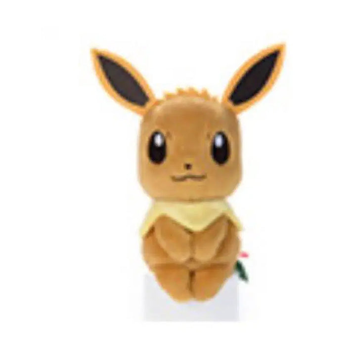 [BUNJANG] Pokemon Eevee Chokori / 포켓몬 춋코리 촛코리상 이브이