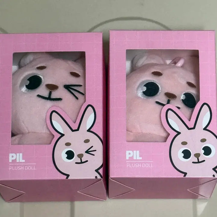 [BUNJANG] DAY6 Wonpil 2019 2020 Bundle Set Photocard / 데니멀즈 필 2019 2020 일괄양도 원필 김원필 윙끼