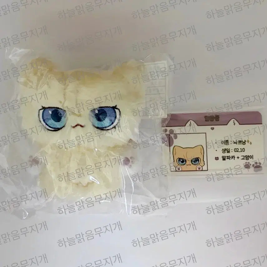 [BUNJANG] PLAVE PPLENYANG Noah Plush Doll / 플레이브 플쁘냥 놔쁘냥 비공식 굿즈 비공굿 인형 노아 원가이하 양도