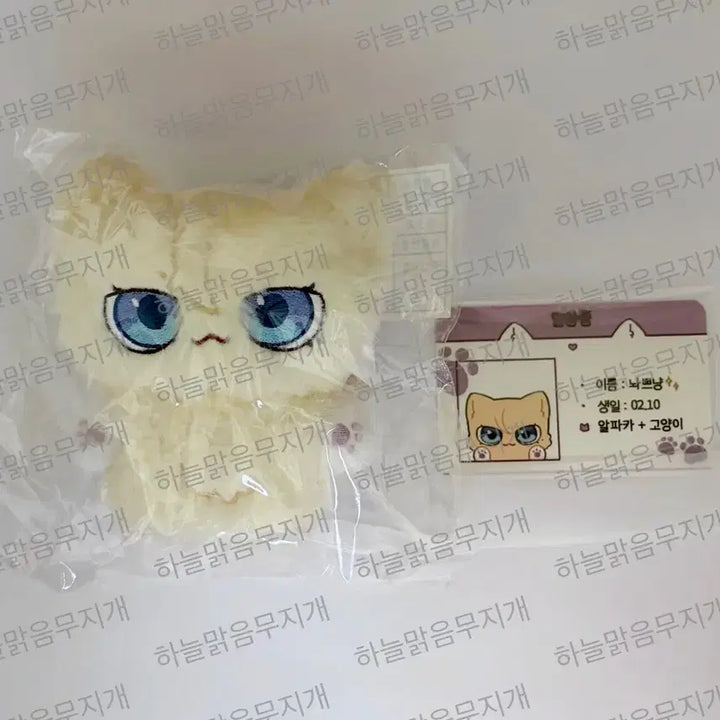 [BUNJANG] PLAVE PPLENYANG Noah Plush Doll / 플레이브 플쁘냥 놔쁘냥 비공식 굿즈 비공굿 인형 노아 원가이하 양도