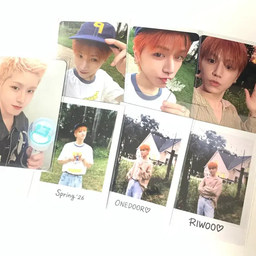 [BUNJANG] BOYNEXTDOOR Collected Book Liu Bundle Set / 일괄) 보이넥스트도어 콜렉티드북 리우