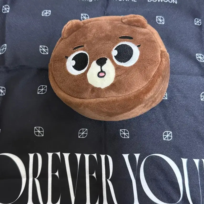[BUNJANG] DAY6 Forever Young Yokohama MD Pouch / 데이식스 2024포에버영 요코하마MD 방 파우치