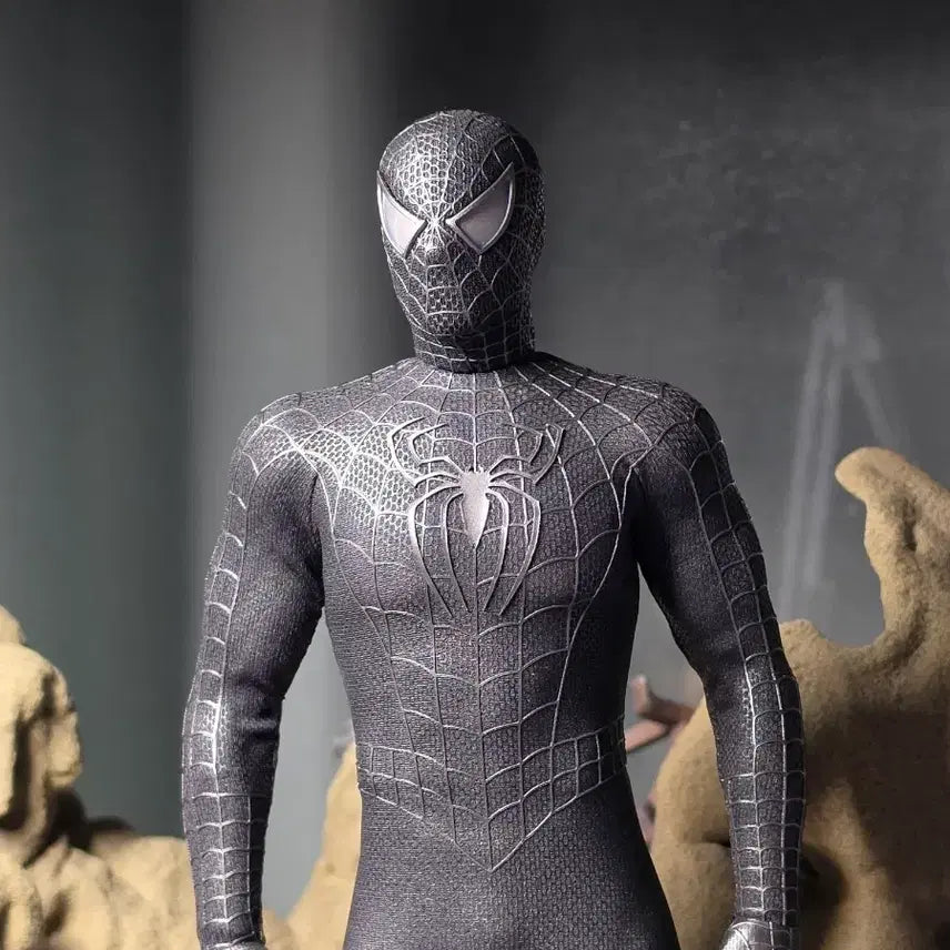 [BUNJANG] Hot Toys Black Spider-Man Body Customization + Vincent Toy Custom Head / 핫토이 블랙 스파이더맨 바디 개수 + 빈센토이 커스텀 헤드