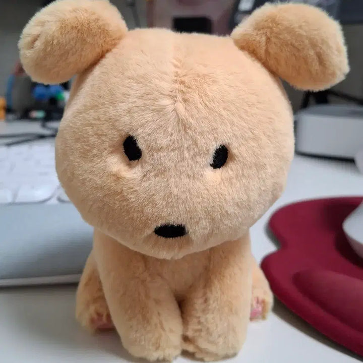 [BUNJANG] Rare Gamja Sitting Doll / 레어 깜자 시팅 인형