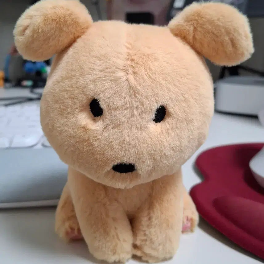 [BUNJANG] Rare Gamja Sitting Doll / 레어 깜자 시팅 인형