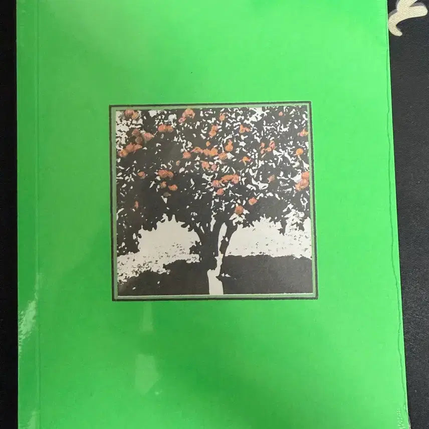 [BUNJANG] Hanroro Jamongsalgu Club Diary (Sealed) / 한로로 자몽살구클럽 md 다이어리(미개봉)