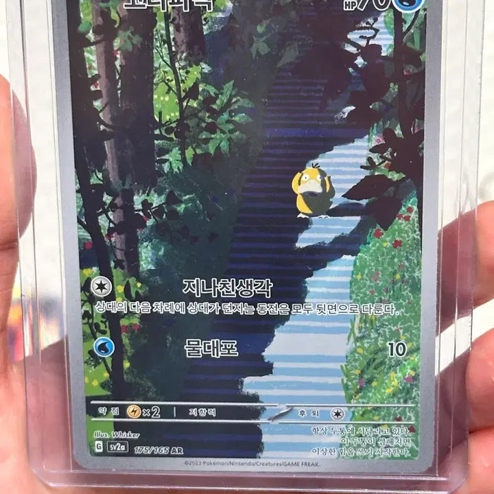 [BUNJANG] Pokemon Card Golduck AR / 포켓몬 카드 고라파덕AR