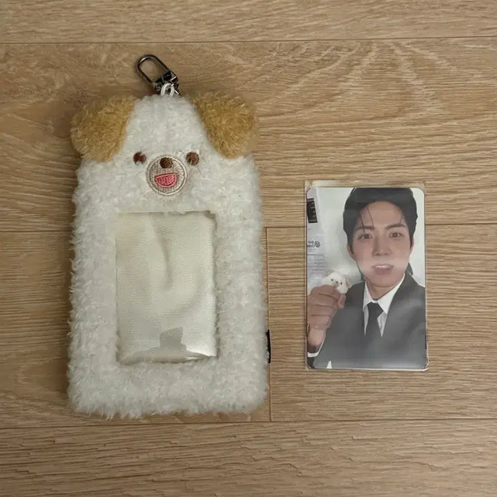 [BUNJANG] Petitzmels Dowoon Photocard Holder + Dowoon Photocard / 쁘띠멀즈 돈 포카 홀더+도운 포카