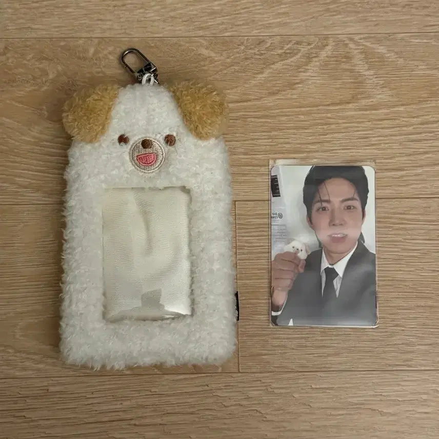 [BUNJANG] Petitzmels Dowoon Photocard Holder + Dowoon Photocard / 쁘띠멀즈 돈 포카 홀더+도운 포카