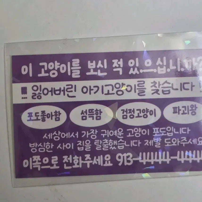[BUNJANG] Kim Soleum Gwaedam Office Grape Sticker Sheet / 괴담출근 김솔음 포도 찌라시 스티커