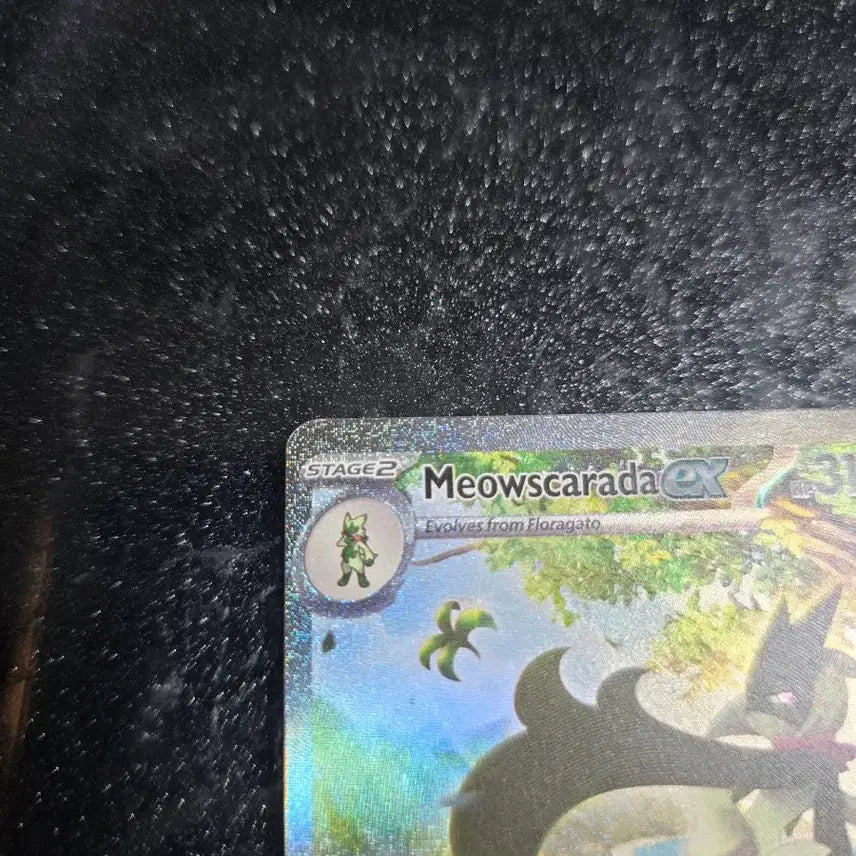 [BUNJANG] Pokemon TCG North American Edition Maschlerena EX / 포켓몬카드 북미판 마스카나ex