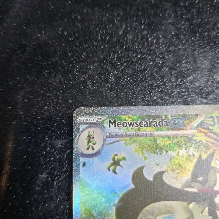 [BUNJANG] Pokemon TCG North American Edition Maschlerena EX / 포켓몬카드 북미판 마스카나ex