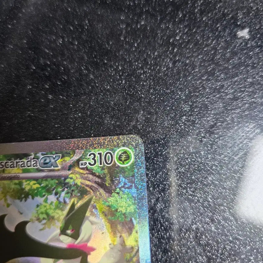 [BUNJANG] Pokemon TCG North American Edition Maschlerena EX / 포켓몬카드 북미판 마스카나ex