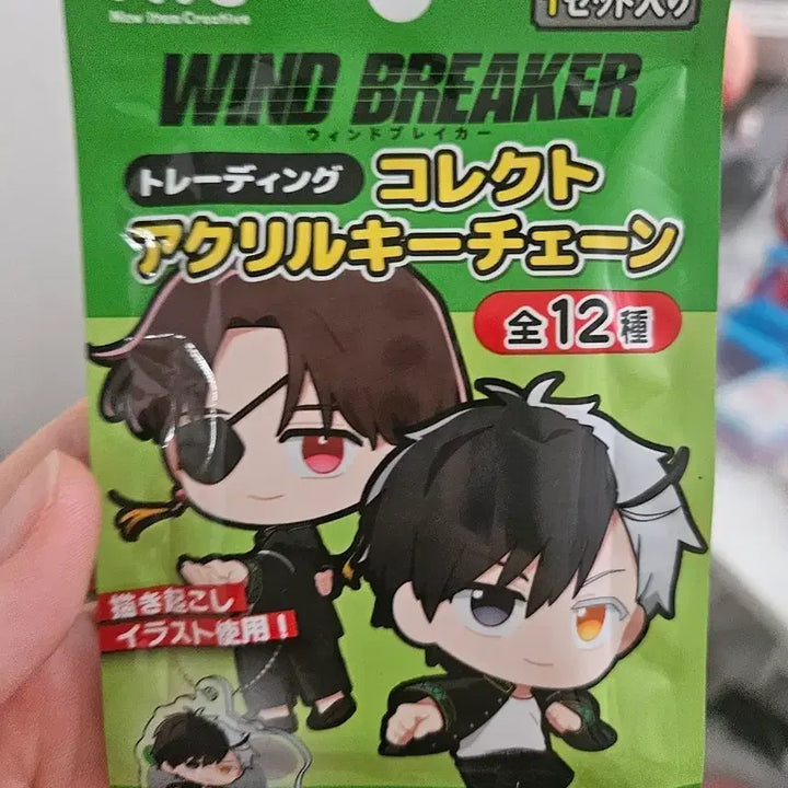 [BUNJANG] Wind Breaker Acrylic Keychain (Random) / 윈드브레이커 랜덤키링