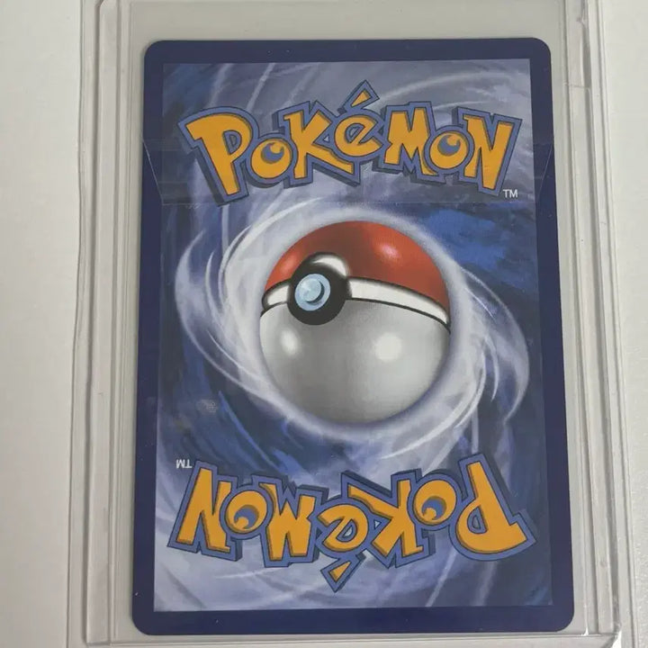 [BUNJANG] Pokemon Card North America Mega Sharpedo AR / 포켓몬카드 북미 메가 샤크니아sar