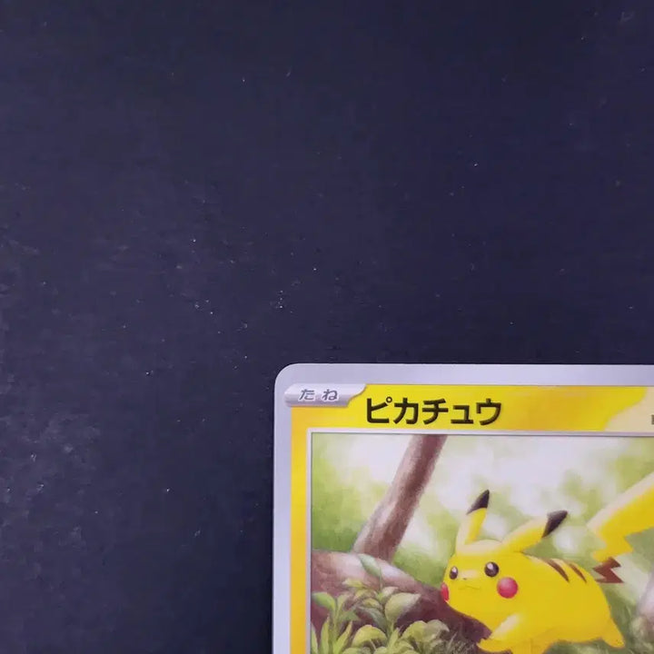 [BUNJANG] Pokemon Card 151 Japanese Edition Pikachu (Walking on Tree) - SV2A 025/165 C / 숲속 나무 위를 걷는 피카츄 포켓몬 카드 151 일본판 일판