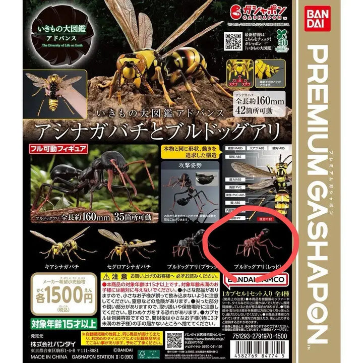 [BUNJANG] Bio Encyclopedia Advance Red Bulldog Ant Sealed / 생물대도감 어드밴스 불독개미 레드 미개봉 팝니다.