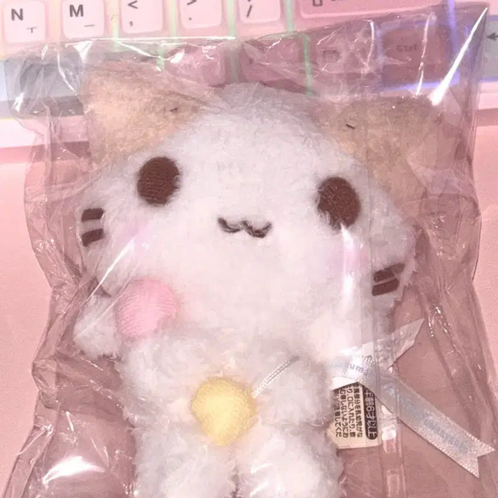 [BUNJANG] Sanrio Marshmallow Mascot Doll / 산리오 일본 마슈마로 마스코트 네코모임 오리지널 인형