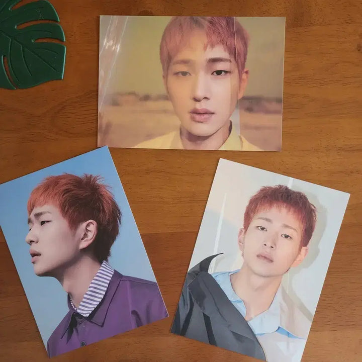 [BUNJANG] SHINee Onew 6th Album Postcard Bundle Set / 샤이니 6집 온유 엽서 일괄
