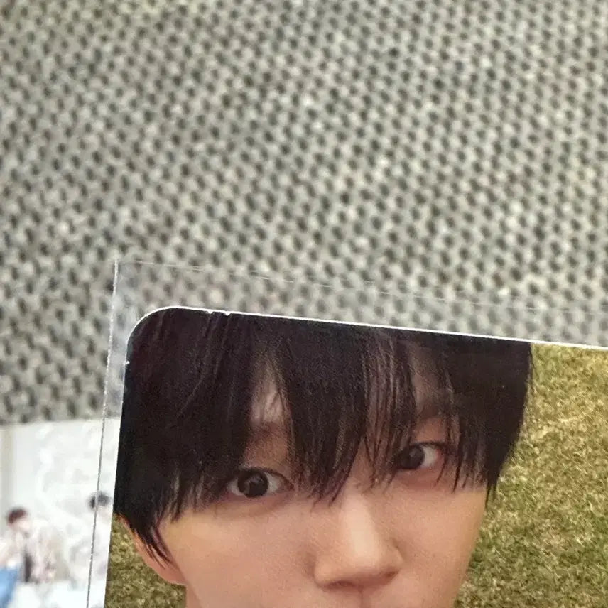[BUNJANG] NCT WISH Jaehee Photocard Bundle / 엔시티위시 앙콘 롯데시네마 특전(단체,재희)