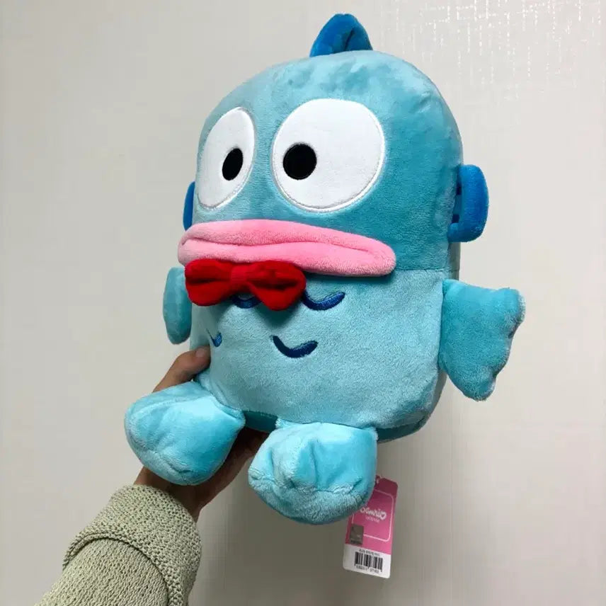 [BUNJANG] Hankyo-dong Plush Doll (New) / 한교동 봉제인형 (새상품)