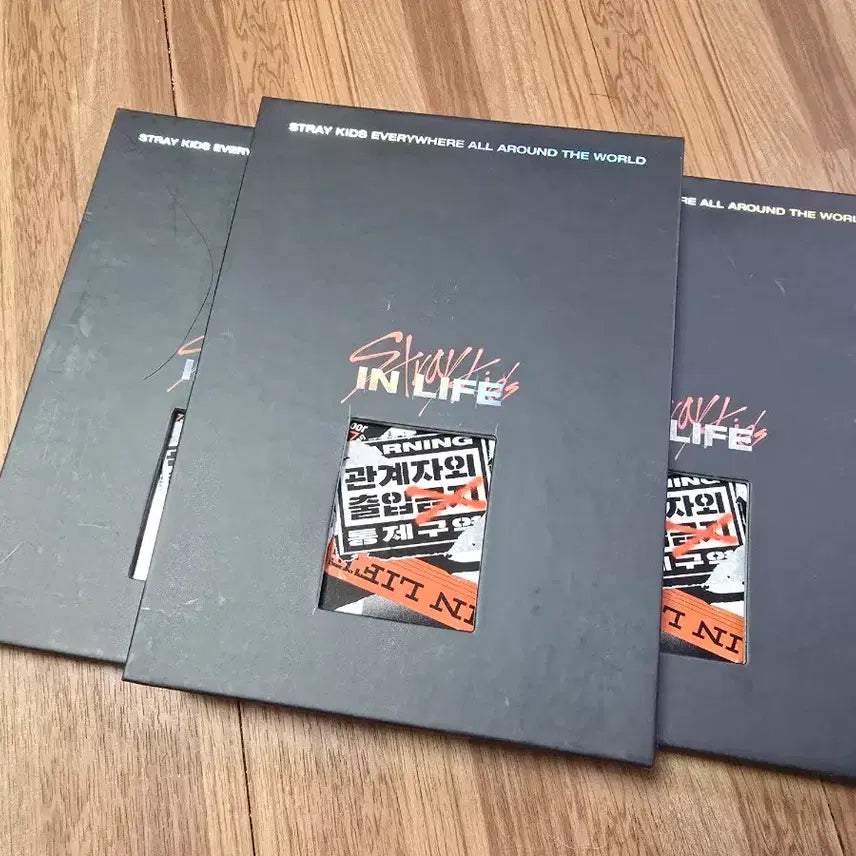 [SOLD OUT] [BUNJANG] Stray Kids In Life Limited Edition Album / 스트레이키즈 InLife 인생 한정반 앨범