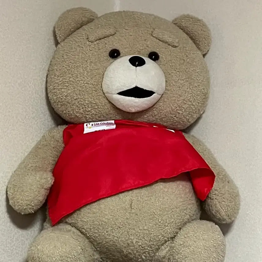 [BUNJANG] Ted Bear Plush Toy / 테드 곰인형