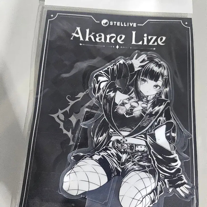 [BUNJANG] Stellive Akane Rize Acrylic Stand / 스텔라이브 아카네 리제 아크릴 스탠드
