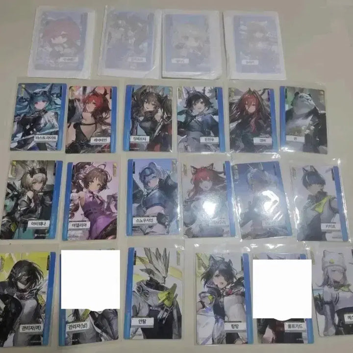 [BUNJANG] Arknights Endfield Photocard Bundle Set / 명일방주 엔드필드 포토카드 일괄 개별 판매