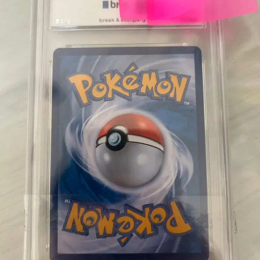 [SOLD OUT] 태그팀 라이츄sr 등카 8.5