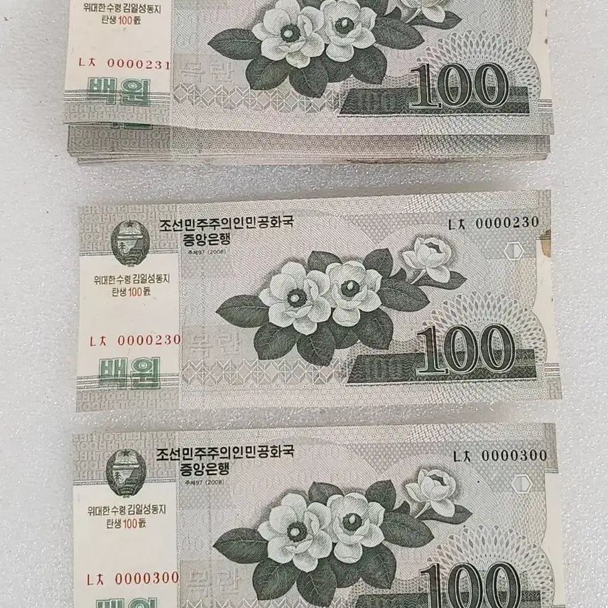 [BUNJANG] North Korea 100 Won Banknote Consecutive Set (2008) / 북한의 100원권 지폐연번