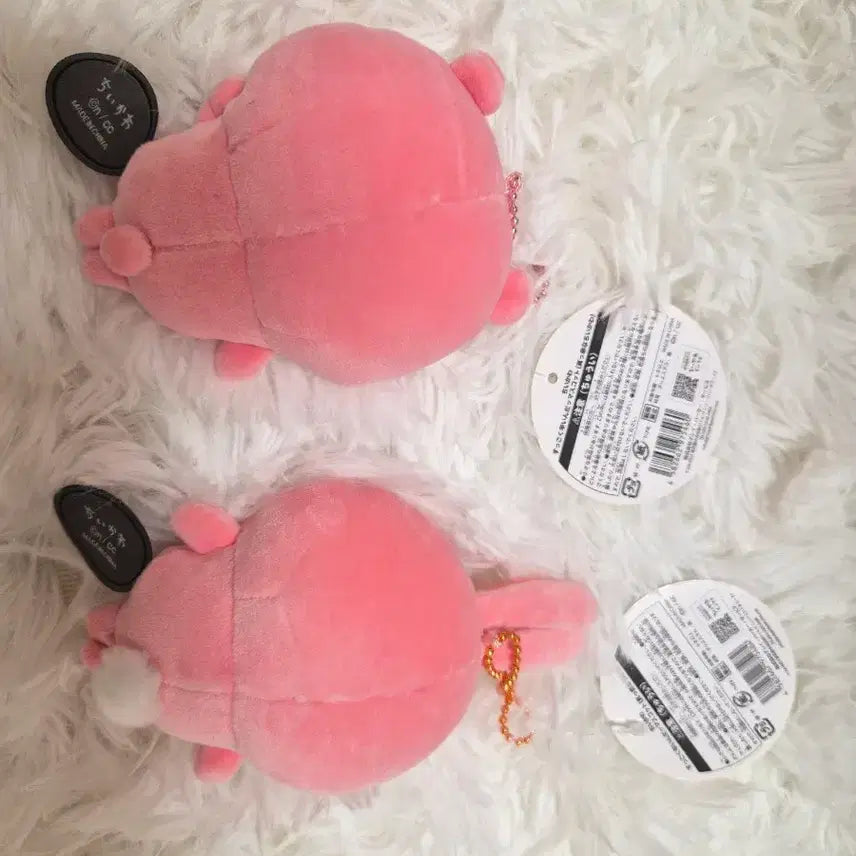 [BUNJANG] Chiikawa Usagi Spicy Curry Bundle Set / 매운카레 치이카와 우사기  일괄 택포