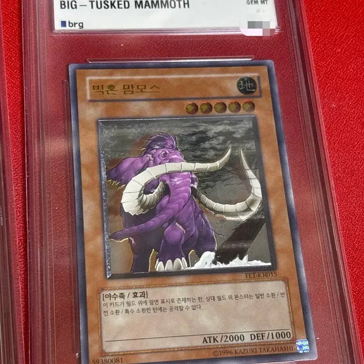 [BUNJANG] Yu-Gi-Oh! 2-Piece Bundle: Ancient Gear Golem &amp; Big Horn Mammoth / 유희왕 등카 10점 2종 일괄 앤틱 기어 골렘 빅혼 맘모스