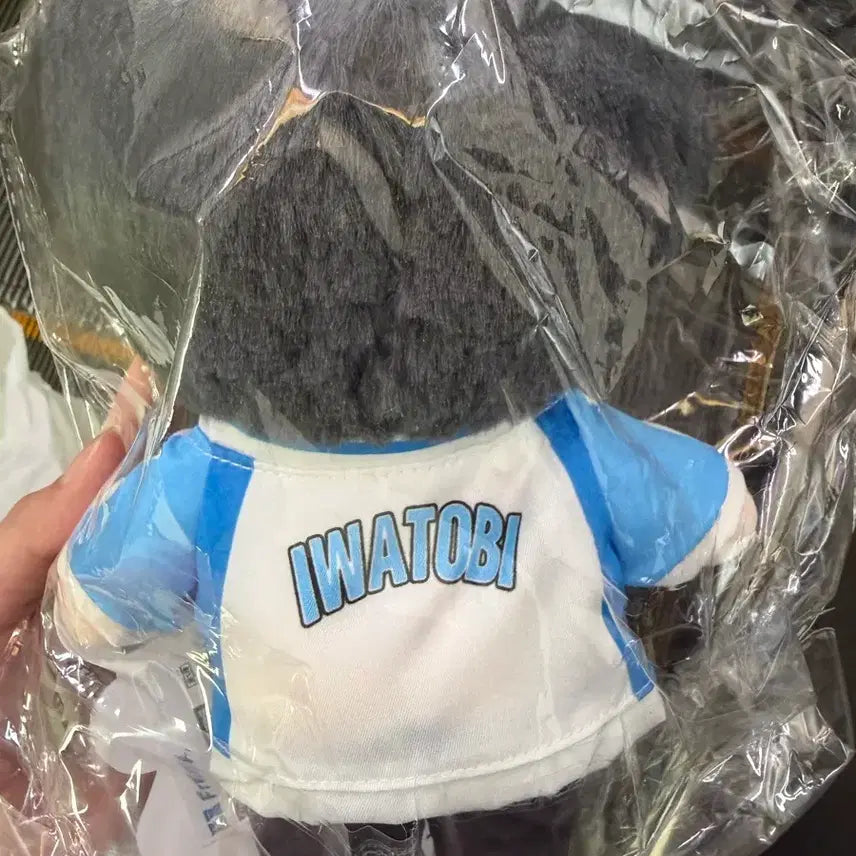 [SOLD OUT] 프리 free 팝마트 나나세 하루카 인형