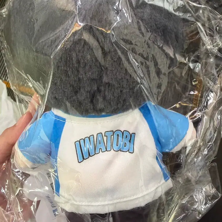 [SOLD OUT] 프리 free 팝마트 나나세 하루카 인형