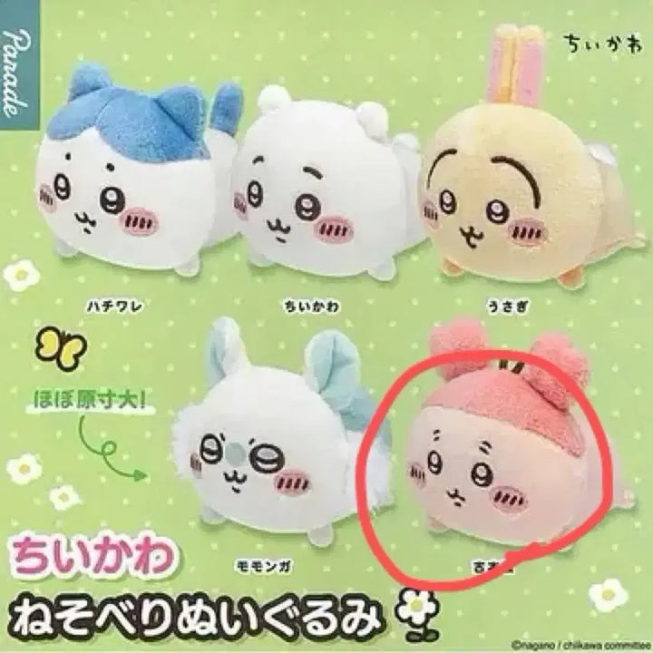 [BUNJANG] Chiikawa Nesoberi Gacha Plush Doll Kani (Unsealed) / 치이카와 네소베리 가챠 인형 카니 미개봉