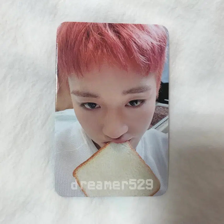 [BUNJANG] Park Jihoon WithMuu Bread Photocard / 박지훈 위드뮤 식빵 포카