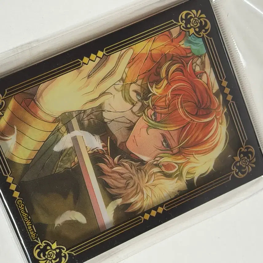 [BUNJANG] Akuneko Teddy Corotto Plush Sealed / 아쿠네코 테디 코롯토 미개봉