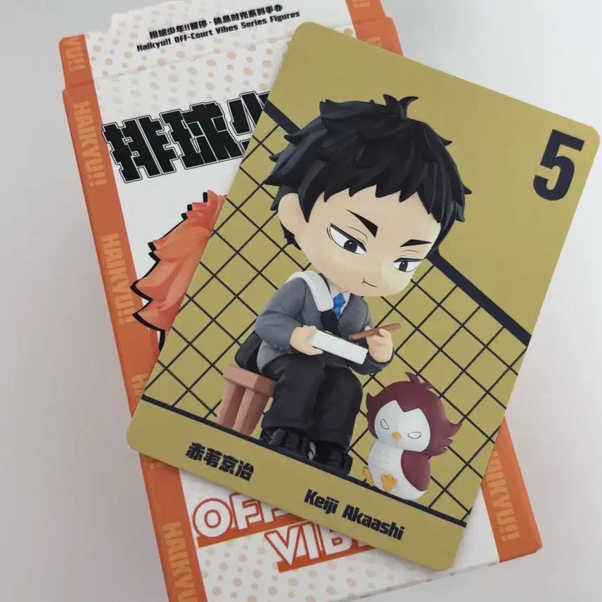 [BUNJANG] Pop Mart Haikyuu!! Akaashi Keiji Figure / 하이큐 아카아시 팝마트 피규어