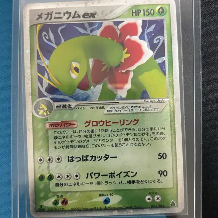 [BUNJANG] Pokemon Card Japanese Meganium ex 1st Edition 003/016 / [포켓몬카드] 일판 메가니움 ex 1ED 003/016 판매합니다