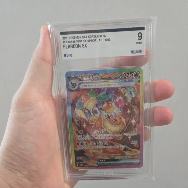 [BUNJANG] Pokemon S&amp;V Tera Raids Special Art Full Set Grade 9 / 테라 이브이즈 풀셋크 9등급셋트 북미아르세웃.서비스