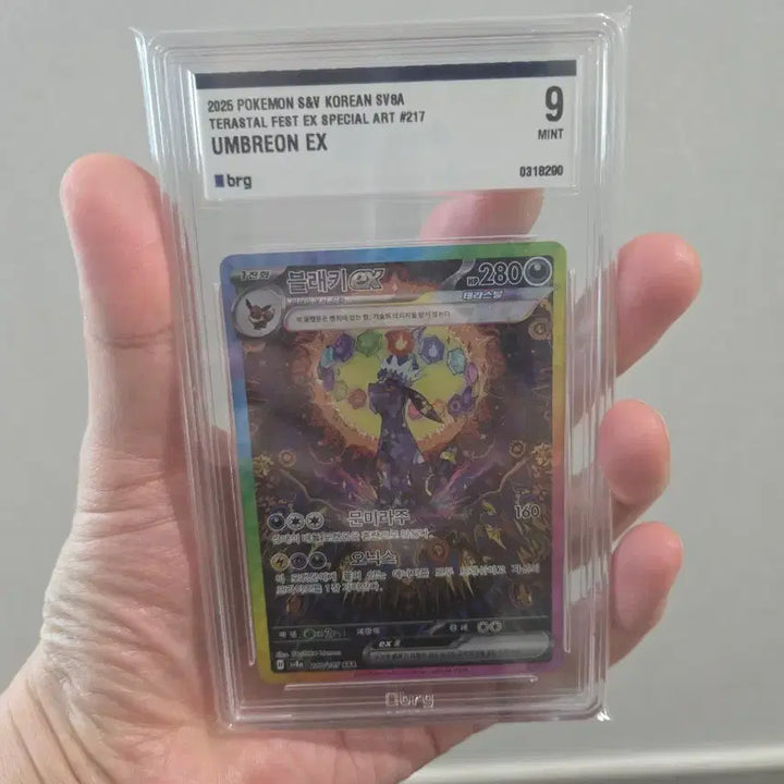 [BUNJANG] Pokemon S&amp;V Tera Raids Special Art Full Set Grade 9 / 테라 이브이즈 풀셋크 9등급셋트 북미아르세웃.서비스