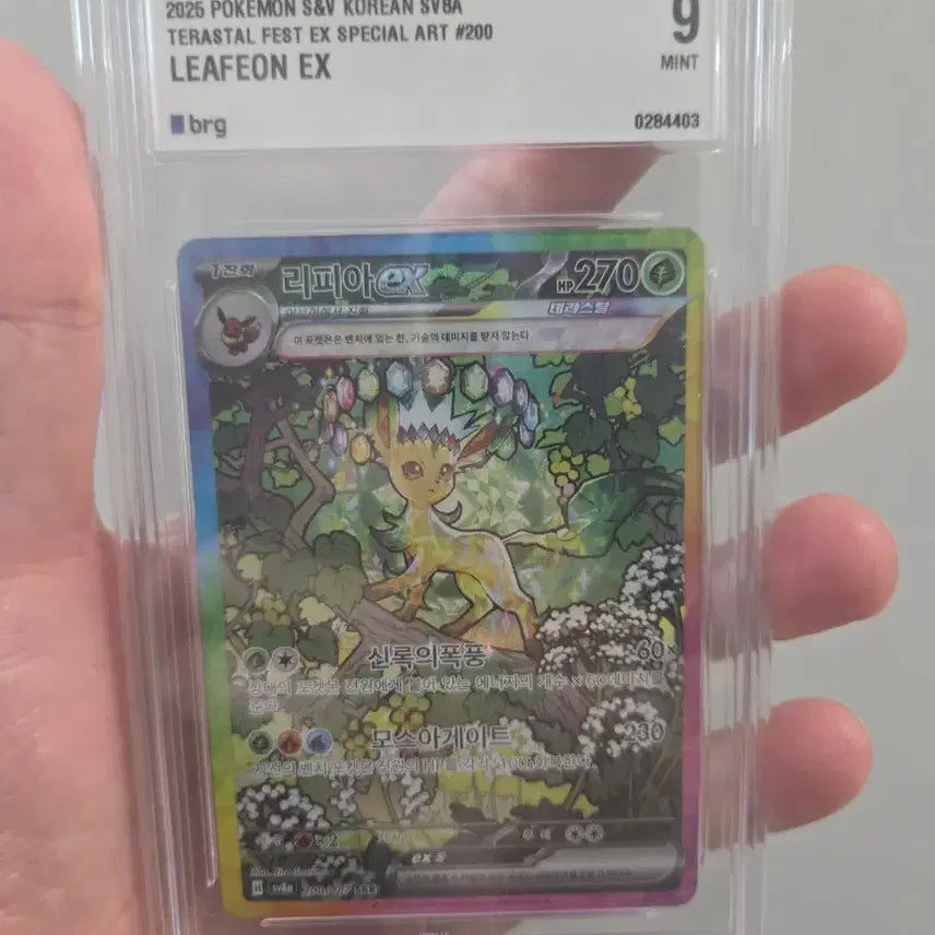 [BUNJANG] Pokemon S&amp;V Tera Raids Special Art Full Set Grade 9 / 테라 이브이즈 풀셋크 9등급셋트 북미아르세웃.서비스